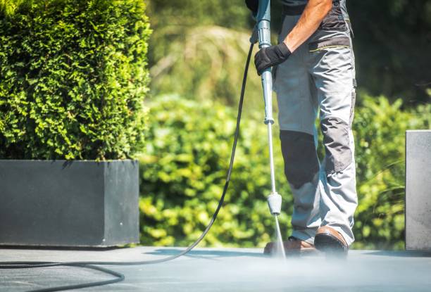 Best Animal Enclosure Cleaning  in Brooksville, FL