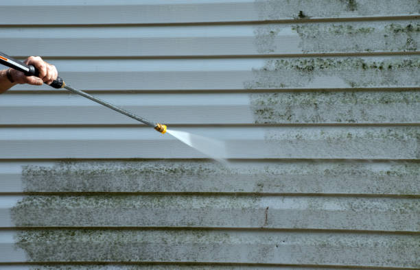Best Rust Removal  in Brooksville, FL